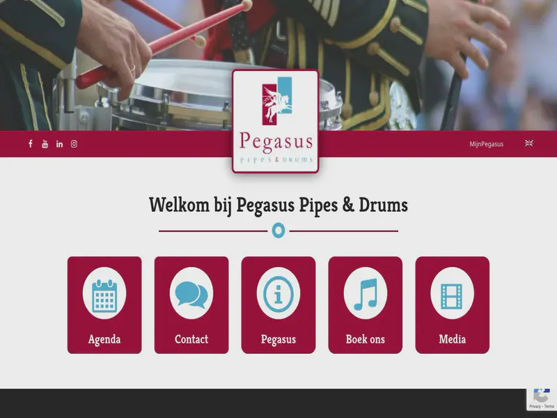 Website preview for www.pegasuspd.nl